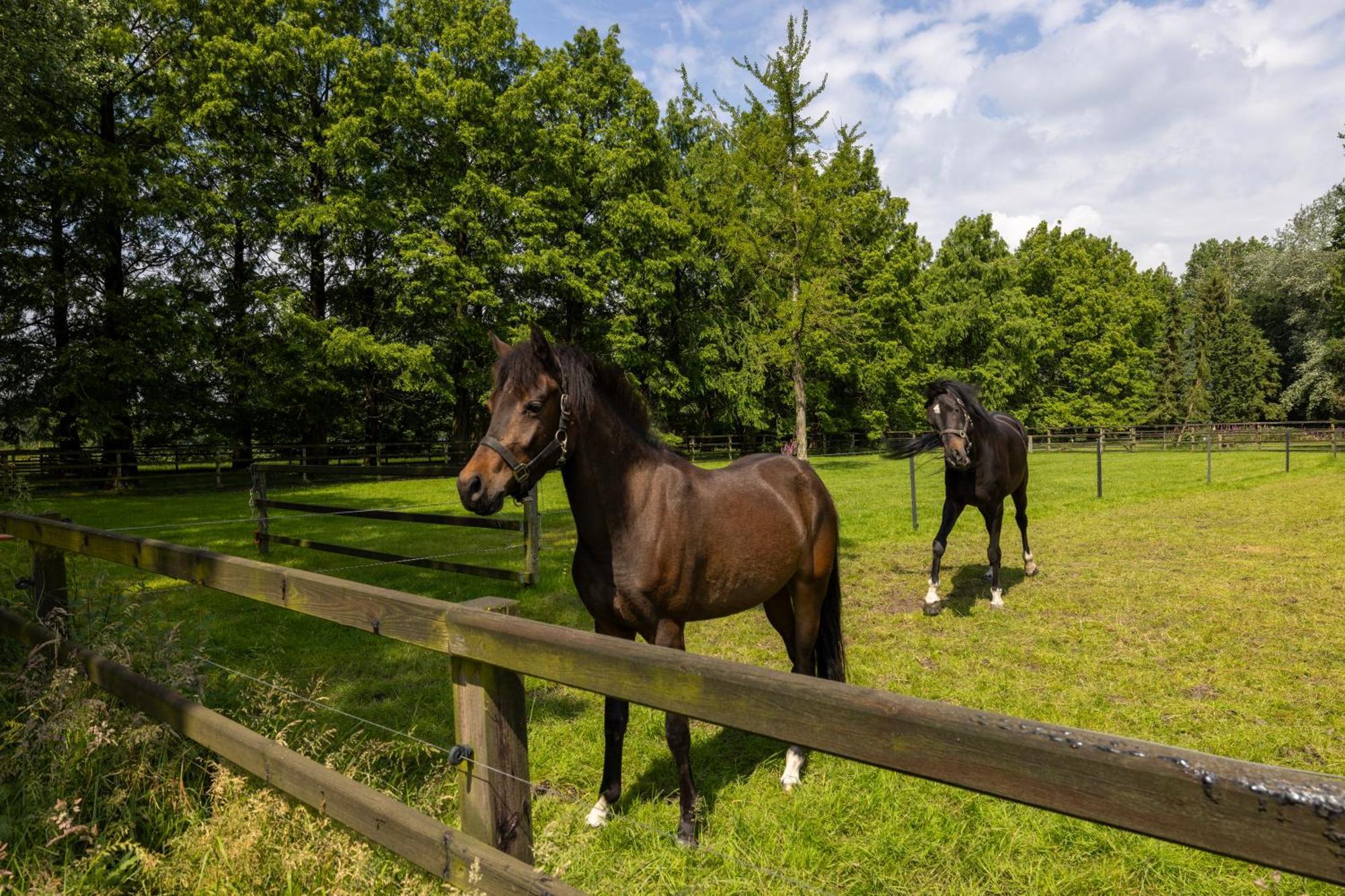 Luxe Hofstede Met Paardenstalling Lunteren Esterno foto